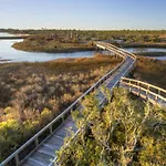 Santa Rosa Dunes 1064