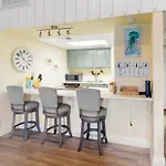 Sand Dollar W202