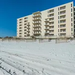 Sans Souci 303