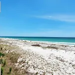 Seahorse Unit H