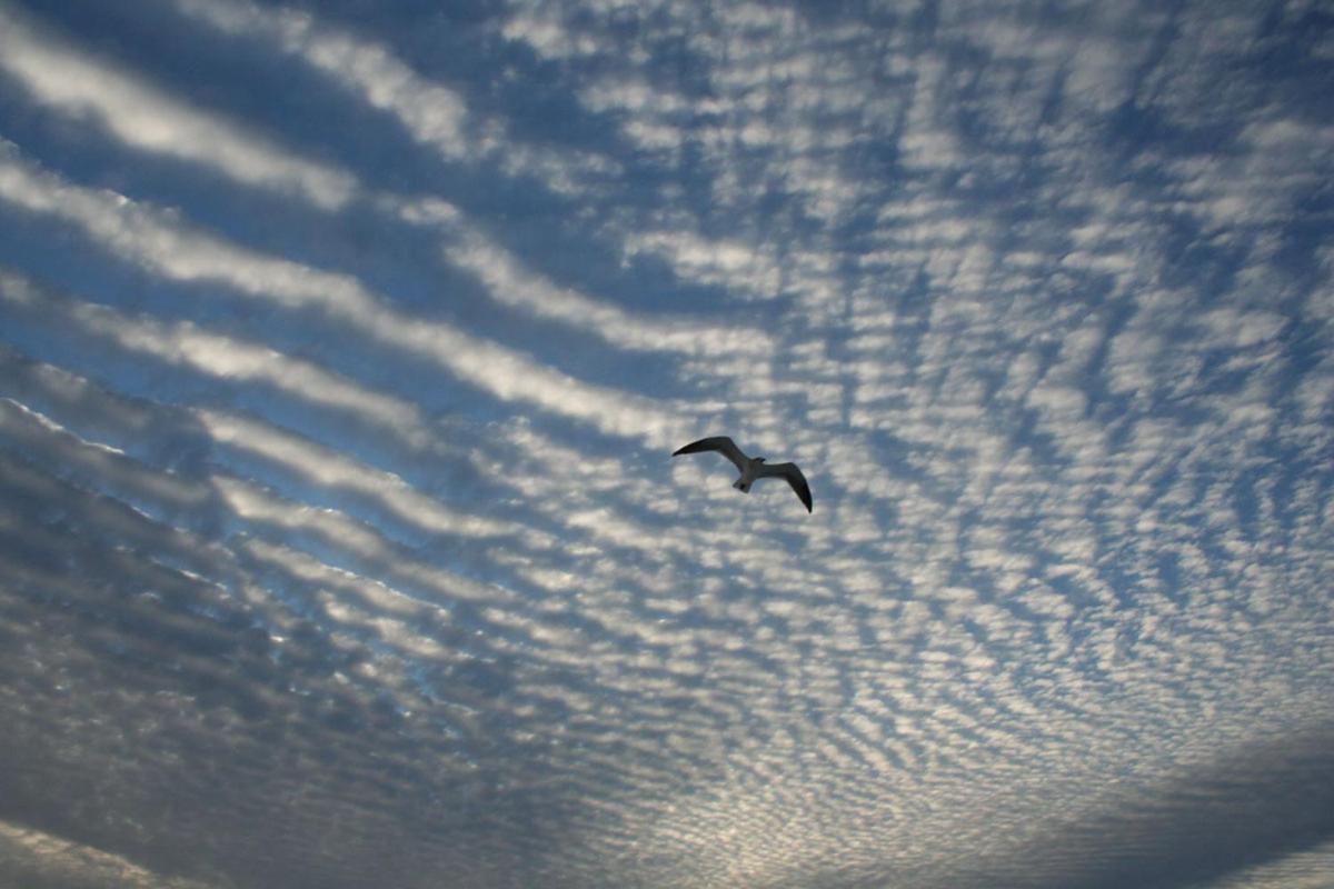 Beautiful * Pensacola Beach