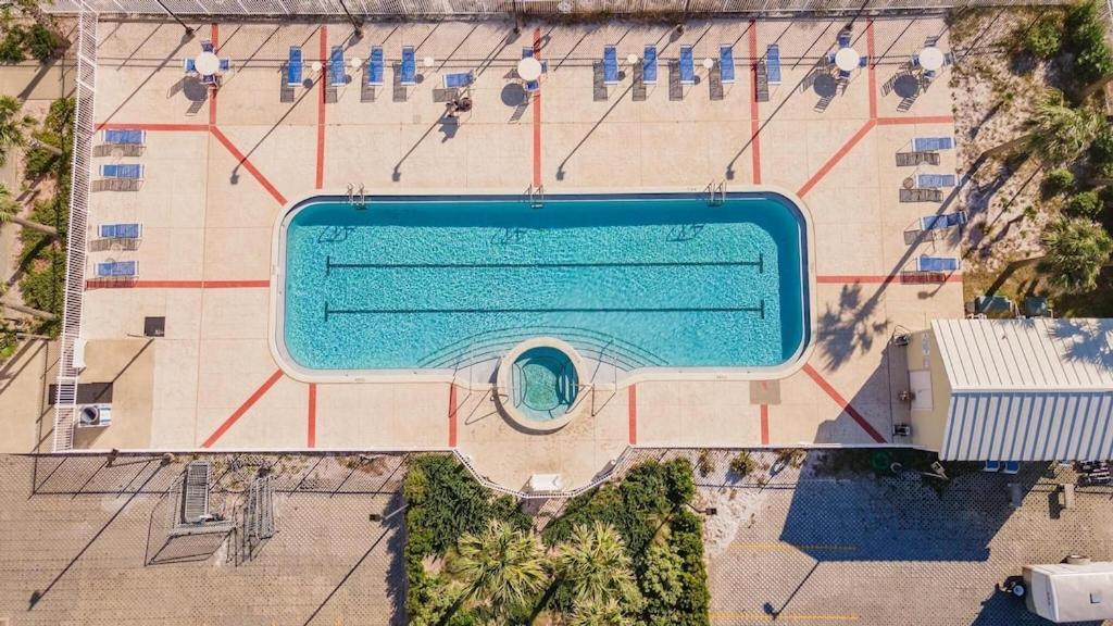 A Wave From It Apartment
