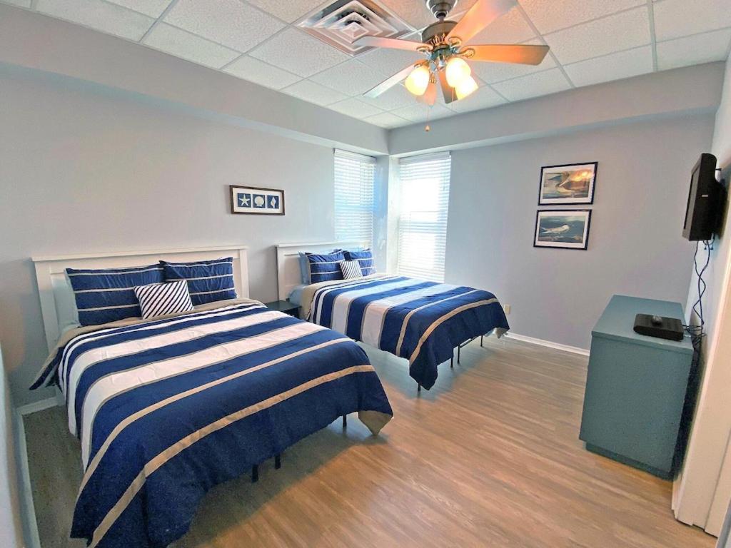 Apartment A Wave From It *
