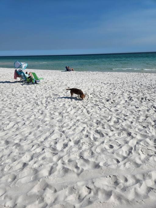 Apartment Quiet 2 Bedroom On Gulf With Pool And Pond Pensacola Beach