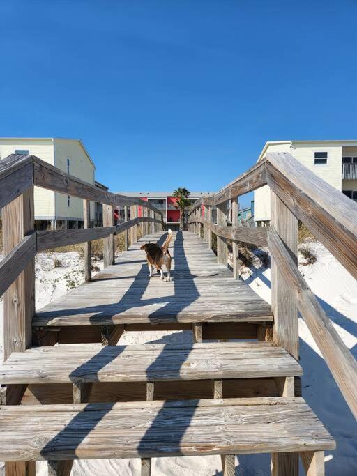 Apartment Quiet 2 Bedroom On Gulf With Pool And Pond *