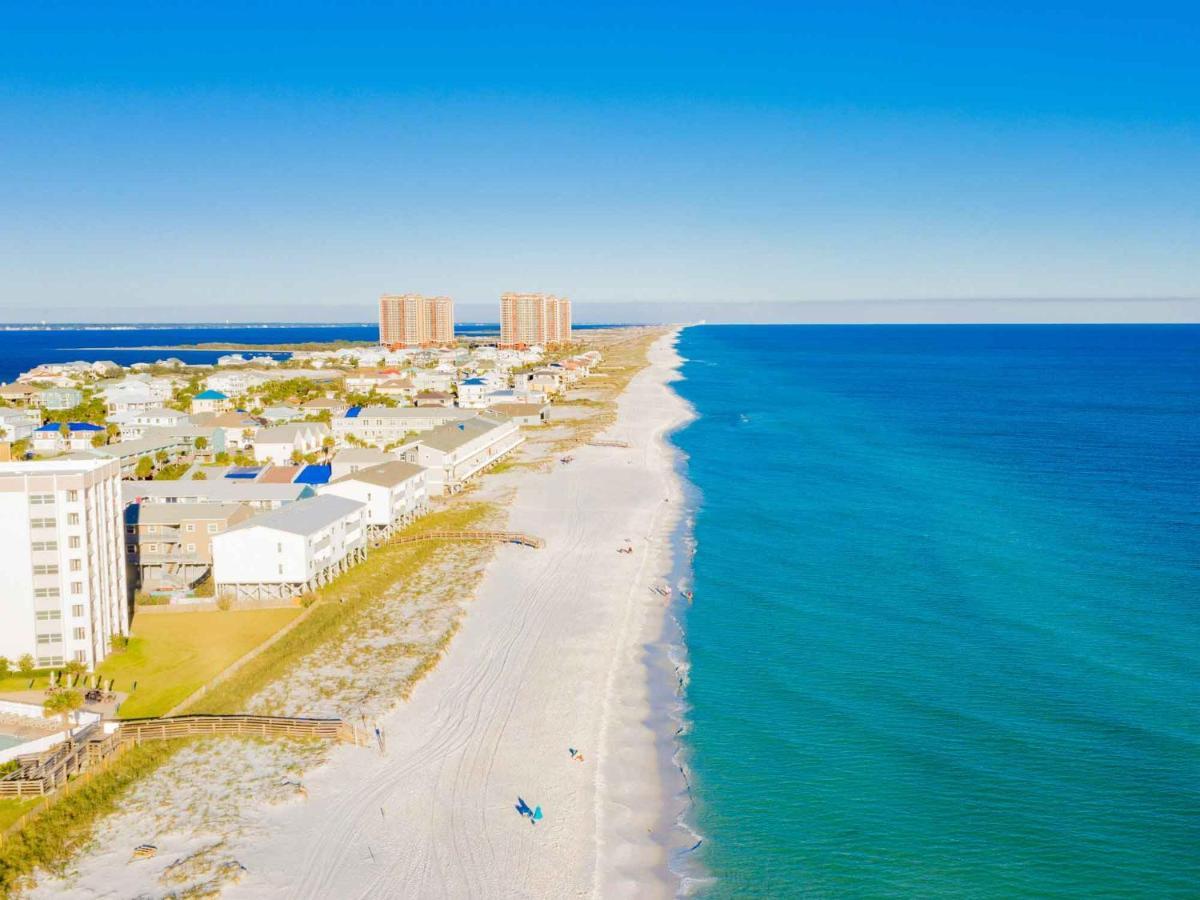 She Sells Seashells Pensacola Beach